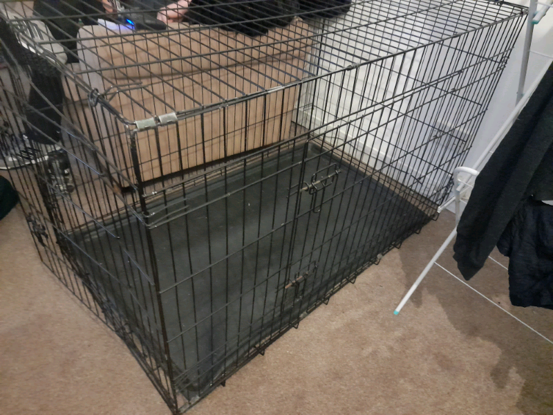 large dog crate gumtree